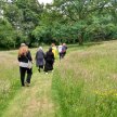 Wharfedale Breathing Spaces walk - Addingham  St Peter’s Church Field image