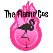 The Flamin' Gos | Pop-Punk & Emo Cover Band image