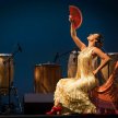 Narración Flamenca, A Flamenco Performance Featuring Dance, Song & Guitar image