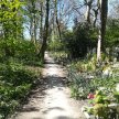 Cemetery Park Online: Searching for your family at Tower Hamlets Cemetery Park image