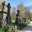 Cemetery Park Online: Introducing Tower Hamlets Cemetery Park image