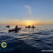 Sunset Kayaking - Special Winter Pride Edition image