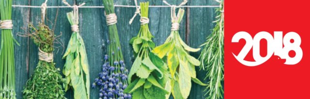Thyme for tea: herbal tea making workshop