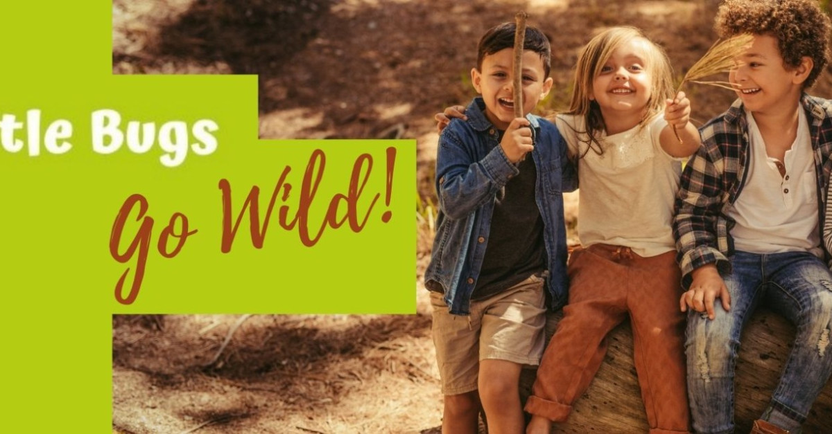 Book here – Afterschool Club to Go Wild! – Wildridings Primary School ...