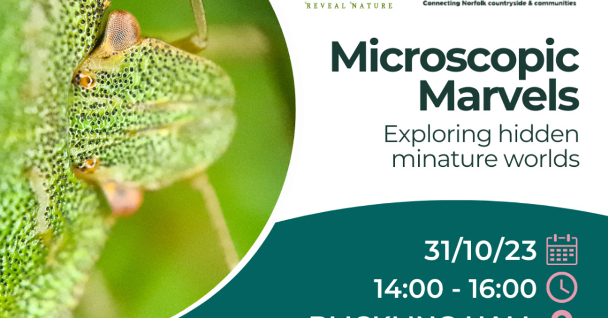 Buy Tickets – Microscopic Marvels: Exploring Hidden Minature Worlds ...