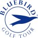 BlueBird Tour Card Silber (Jahres-Abo) image