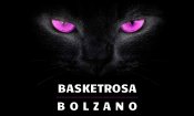 Basket Rosa Bz