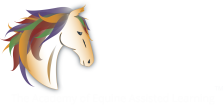 Equine Connection - The Academy of Equine Assisted Learning Inc