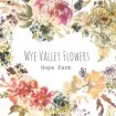 Wye Valley Flowers