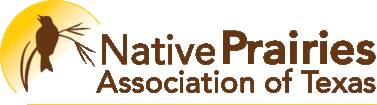 Native Prairies Association of Texas