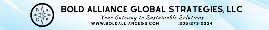 Bold Alliance Global Strategies, LLC 2022