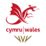 Team Wales Business Club