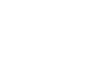 Dallas Parrots