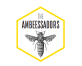 The Ambeessadors