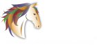 Equine Connection - The Academy of Equine Assisted Learning Inc