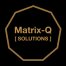 Matrix-Q Solutions