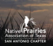 NPAT - San Antonio Chapter