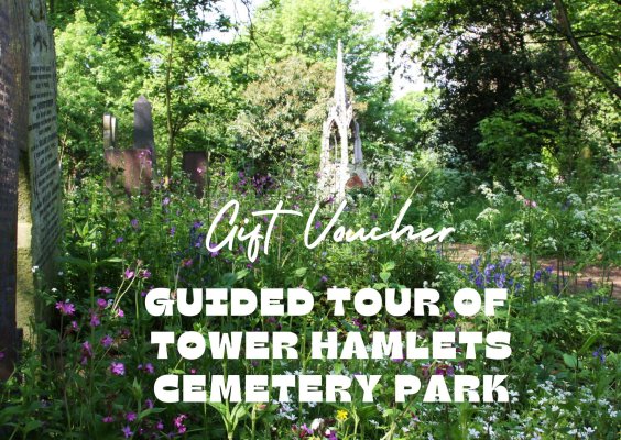 Guided tour gift voucher (THCP only) image