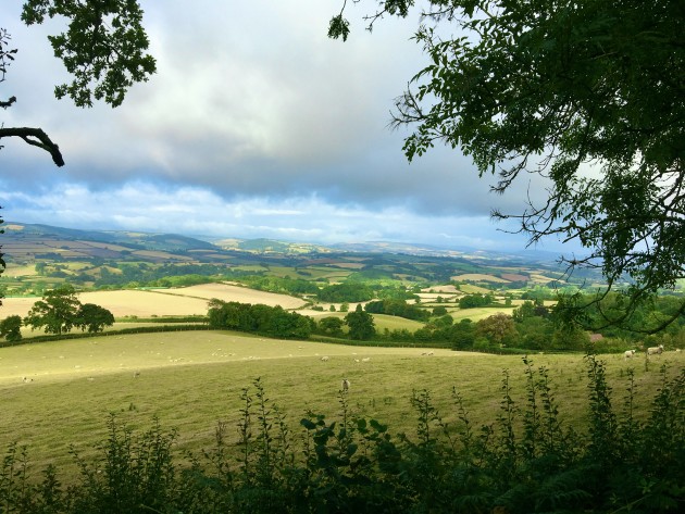 The view from the hill behind Halsway - about 15 minutes walk