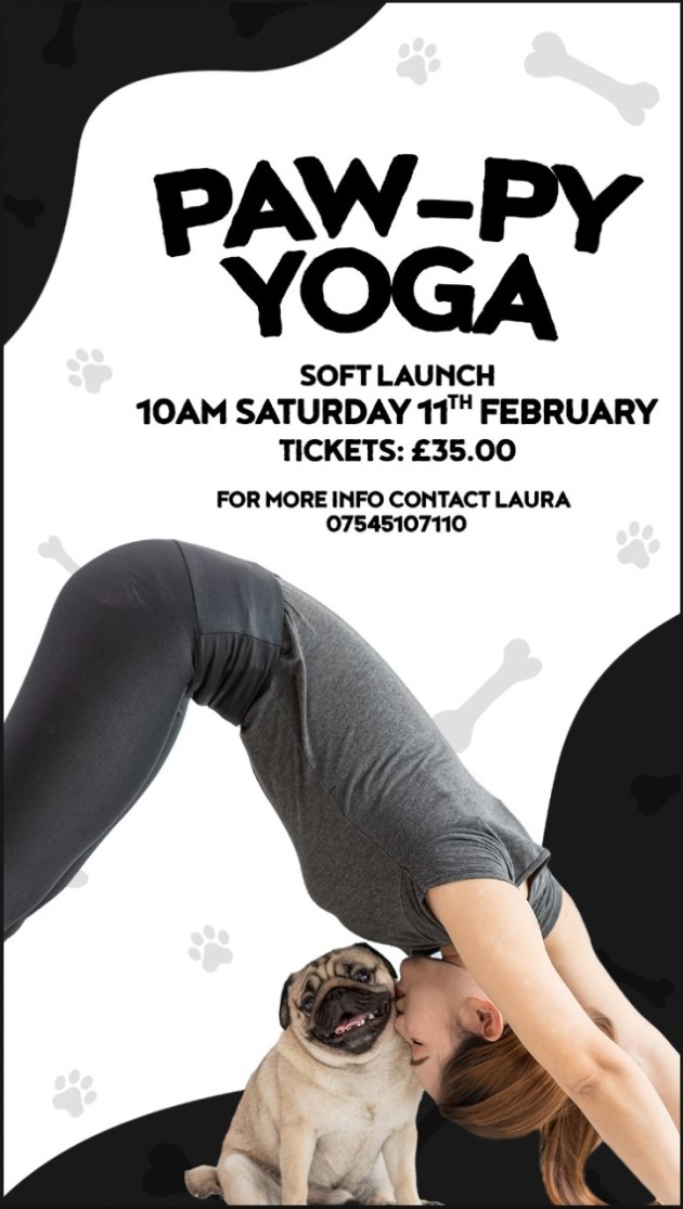 Time to paws: Puppy yoga craze sweeps UK