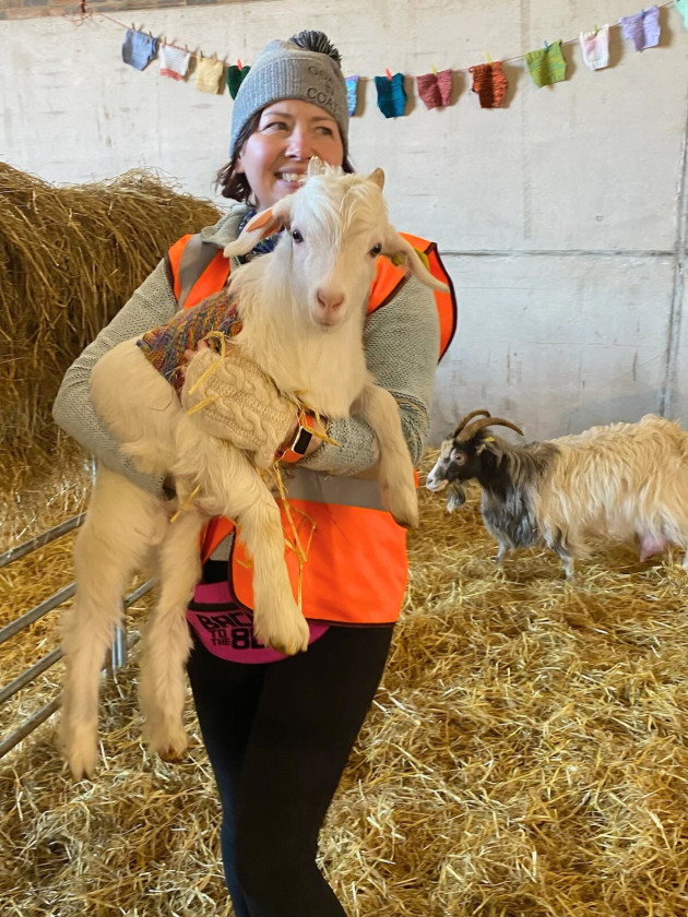 A GOAT HERDER AT LUNAN BAY FARM CARRYING A GOAT KID WEARING A JUMPER
