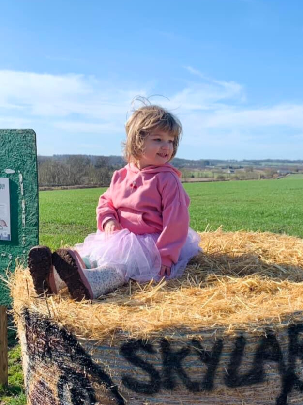 A YOUNG GIRL WEARING A PINK TUTU SITTING ON A BALE OF STRAW IN THE FARM