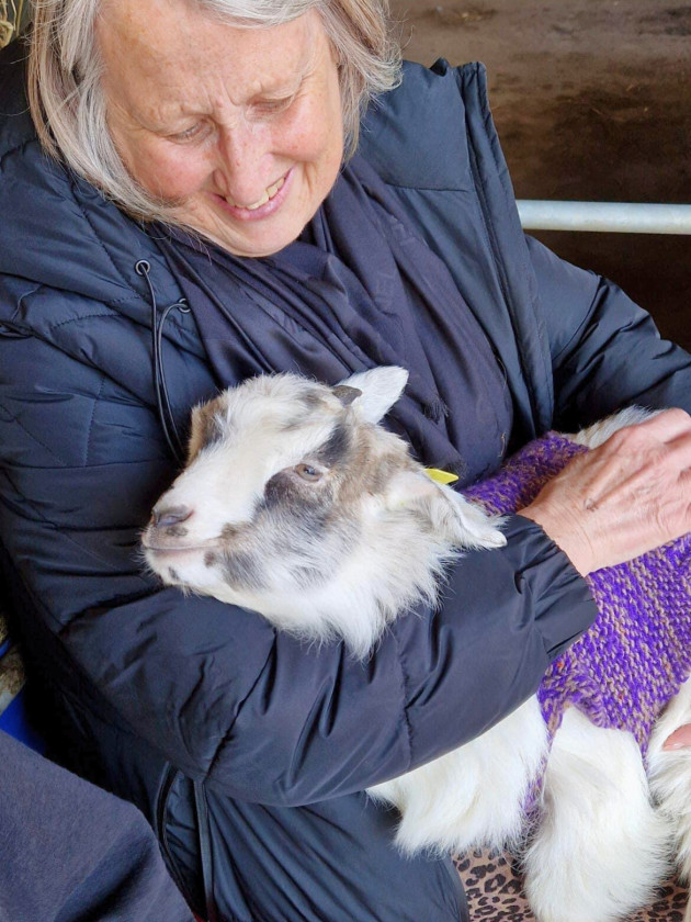 A LADY SMILING CUDDLING A CASHMERE KID WEARING A PURPLE JUMPER