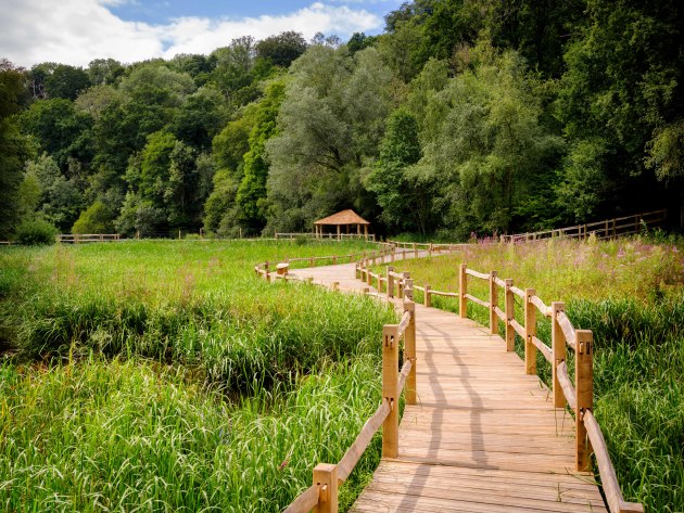 Wooden boardwalk bending from foreground through green vegetation twoards trees and a shelter at Wakehurst.