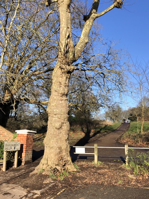 Parliament Hill entrance to Hampstead Heath