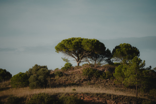 event_description_image_215807_1739301110_a3804.jpg?_a=BAAAV6DQ