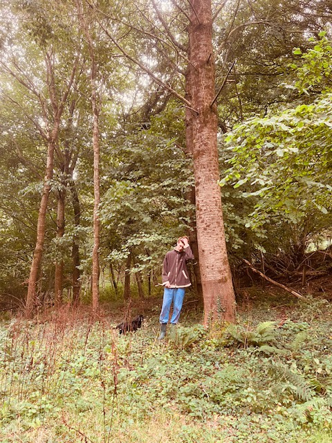 A figure stands in a woodland with a dog, next to a 33 year old cherry tree
