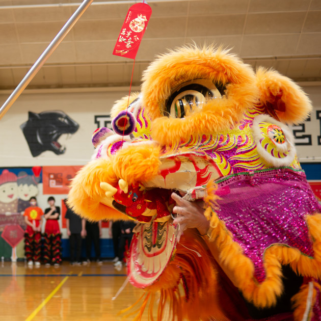 Traditional Lion Dance