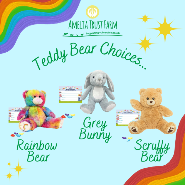Children can choose their own soft toy!