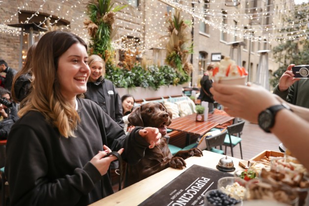 Labradora Cafe BUY TICKETS NOW – Labrador Cafe Christmas - Nottingham – Las Iguanas ...