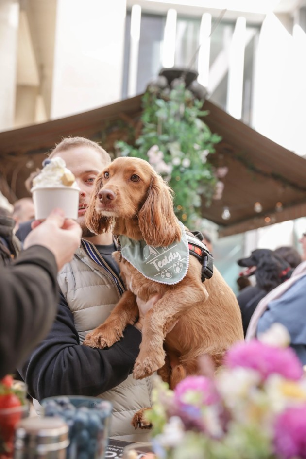 BUY TICKETS NOW – Cocker Spaniel Cafe - London – The Happenstance