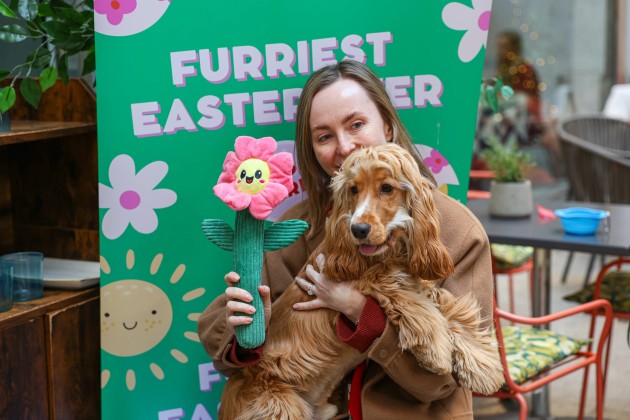 BUY TICKETS NOW – Cocker Spaniel Cafe - Cambridge – Revolution
