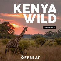 Kenya Wild image