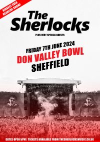 The Sherlocks @ Don Valley Bowl, Sheffield image