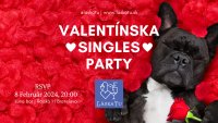 Valentínska Singles Párty image