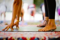 Yoga & Embodied Movement Teacher Training image