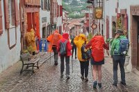 Walking the Camino de Santiago | What to Take & What to Leave at Home | 36€ image