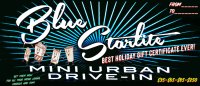 THE BEST HOLIDAY GIFT CERTIFICATE EVER: A NIGHT AT THE DRIVE-IN (THRU 2022):  Have recipient email us 2 Book Chosen date image