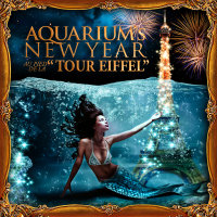 AQUARIUM'S NEW YEAR TOUR EIFFEL image