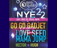 New Years Eve w/ Go Go Gadjet/ Love Seed Mama Jump/Hector/Hugh image