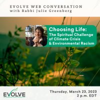 Choosing Life: The Spiritual Challenge of Climate Crisis & Environmental Racism with Rabbi Julie Greenberg image