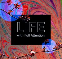 Life With Full Attention image