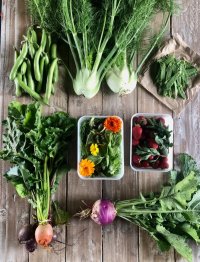 Farm & Feast CSA (Fruit & Veg Box) 2023 image