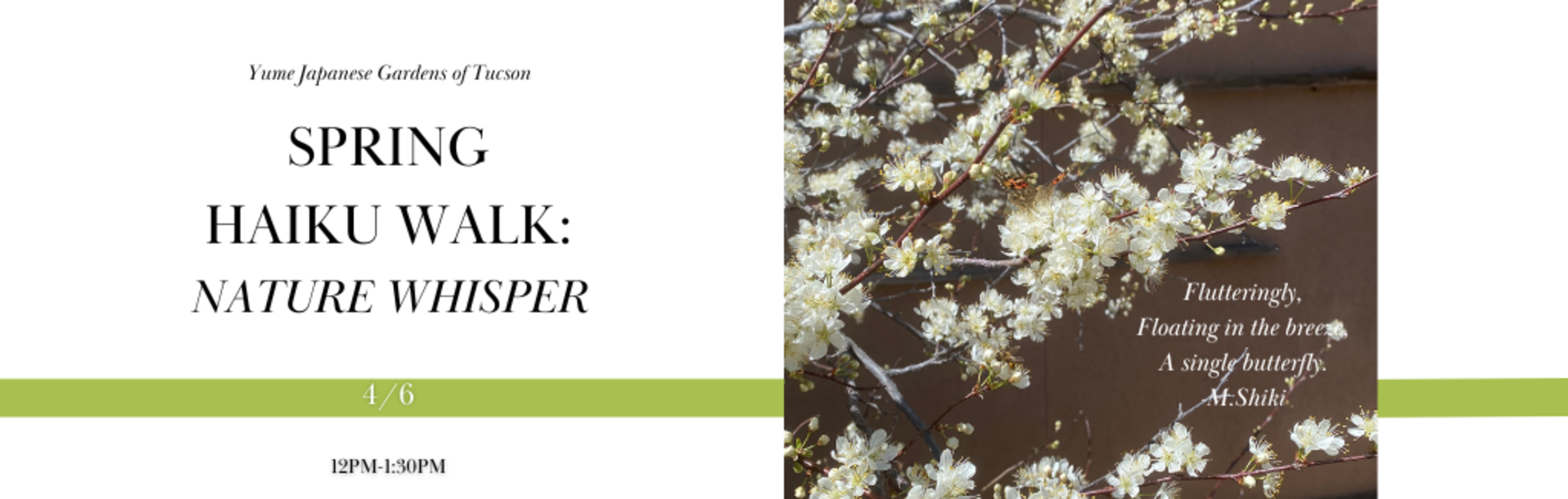 Buy tickets – Spring Haiku Walk: Nature Whisper – Yume Japanese Gardens of  Tucson, Sat Apr 6, 2024 12:00 PM - 1:30 PM