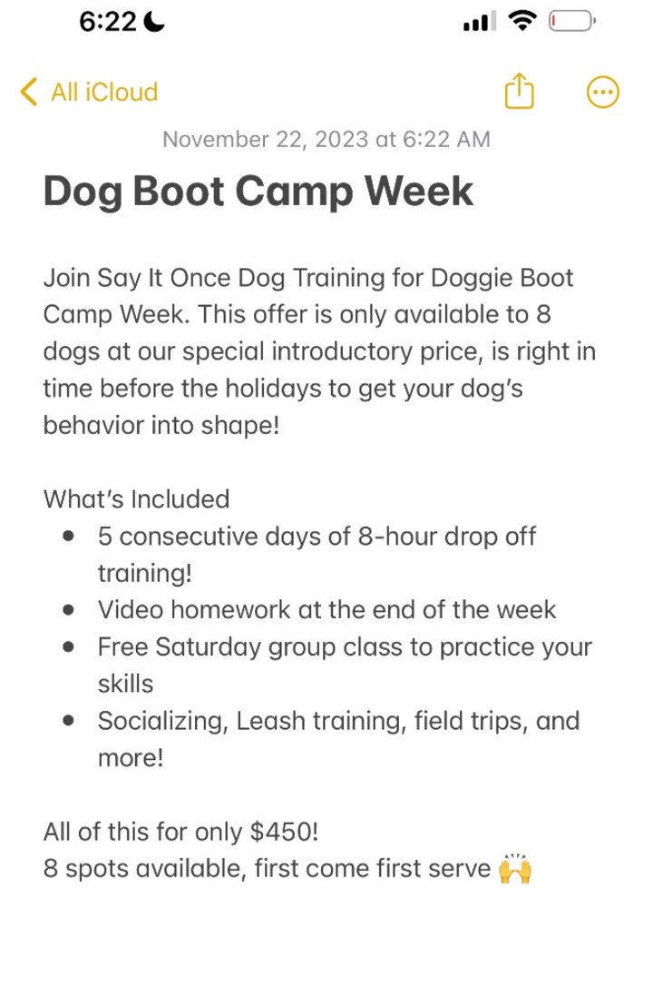 Dog boot discount camp prices