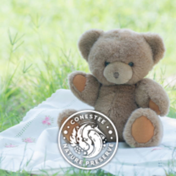 Whitefriars, Canterbury - We still have tickets left for our Teddy Bears  Picnic tomorrow! If you want to join us book them via the Whitefriars  website www.whitefriars.co.uk/whats-on/events/teddy-bears-picnics/ We also  have a picnic